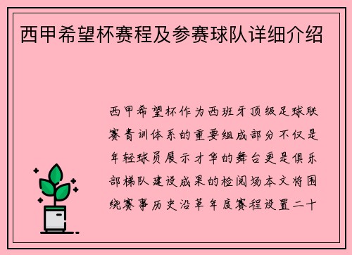 西甲希望杯赛程及参赛球队详细介绍